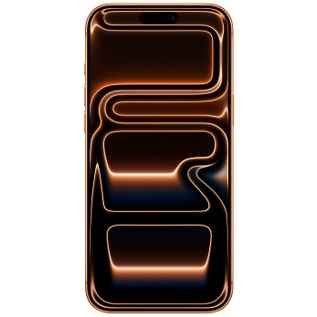 iPhone 17 Pro Max Cases